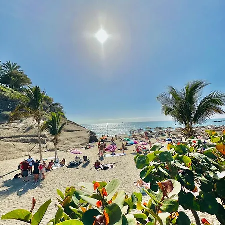 Apartmán Luxury Fanabe With Private Garden Costa Adeje (Tenerife)